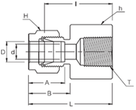 Compression Tube x Female NPT Adapter